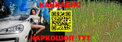гашик Тулун