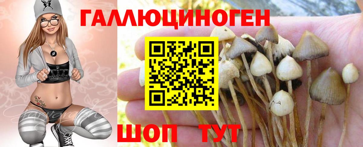 Мурино  Галлюциногенные грибы MAGIC MUSHROOMS  Вход с VPN 